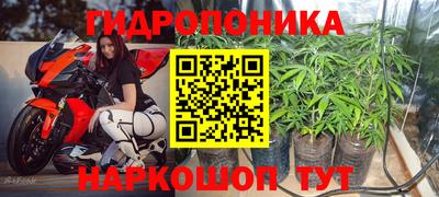 индика Севастополь