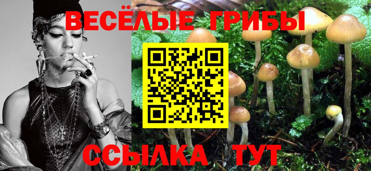 Новошахтинск  Псилоцибиновые грибы мицелий  Вход с VPN 